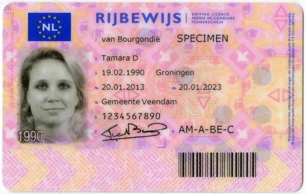 Buy Dutch Driver's License