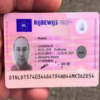 Buy Dutch Driver's License